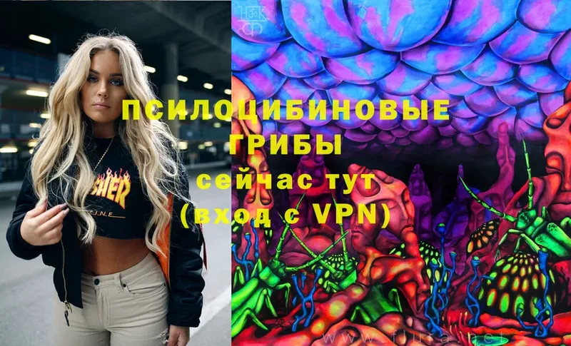 Купить наркотик аптеки Салават A-PVP  Гашиш  Марихуана  COCAIN 